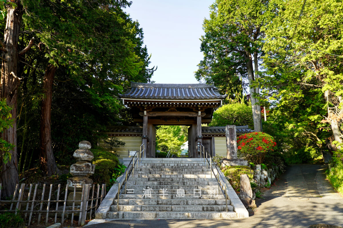 浄妙寺・晩春の山門周辺（撮影日：2026.04.16）