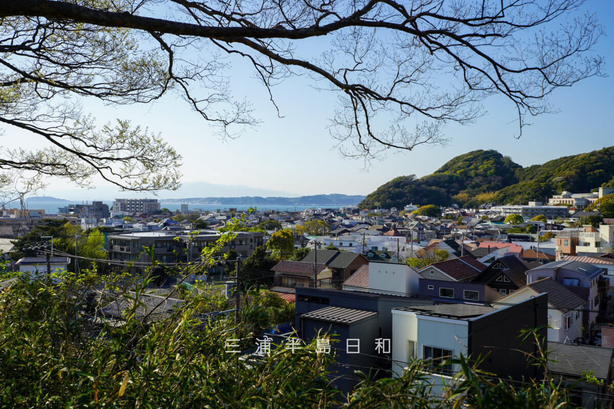 木の下公園からの眺望(撮影日:2026.04.08)