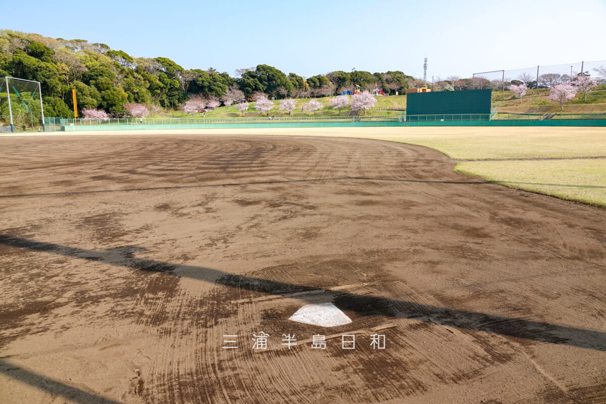 潮風スポーツ公園(三浦スポーツ公園)・野球場一塁側より外野席を望む(撮影日:2026.03.29)