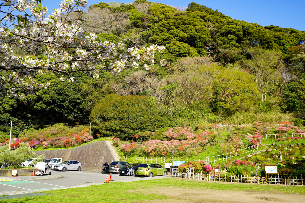 花の木公園・色づきはじめのツツジ庭園全景（撮影日：2026.04.08）