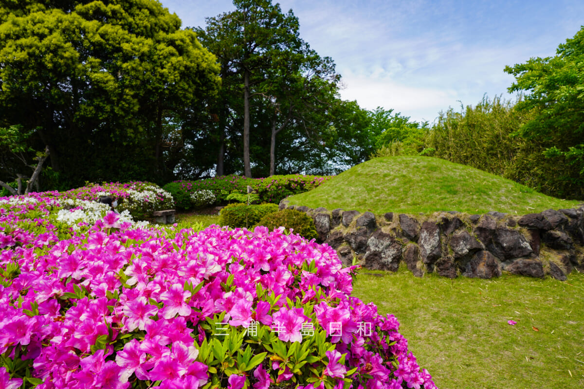 源太塚の塚山とツツジ（撮影日：2026.04.28）
