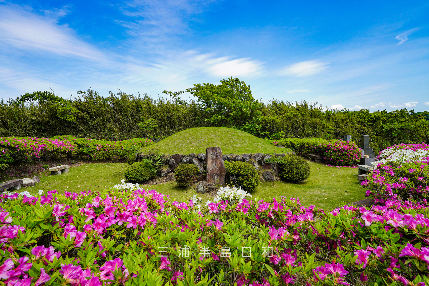 源太塚と塚山を取り囲むように咲くツツジ（撮影日：2026.04.28）