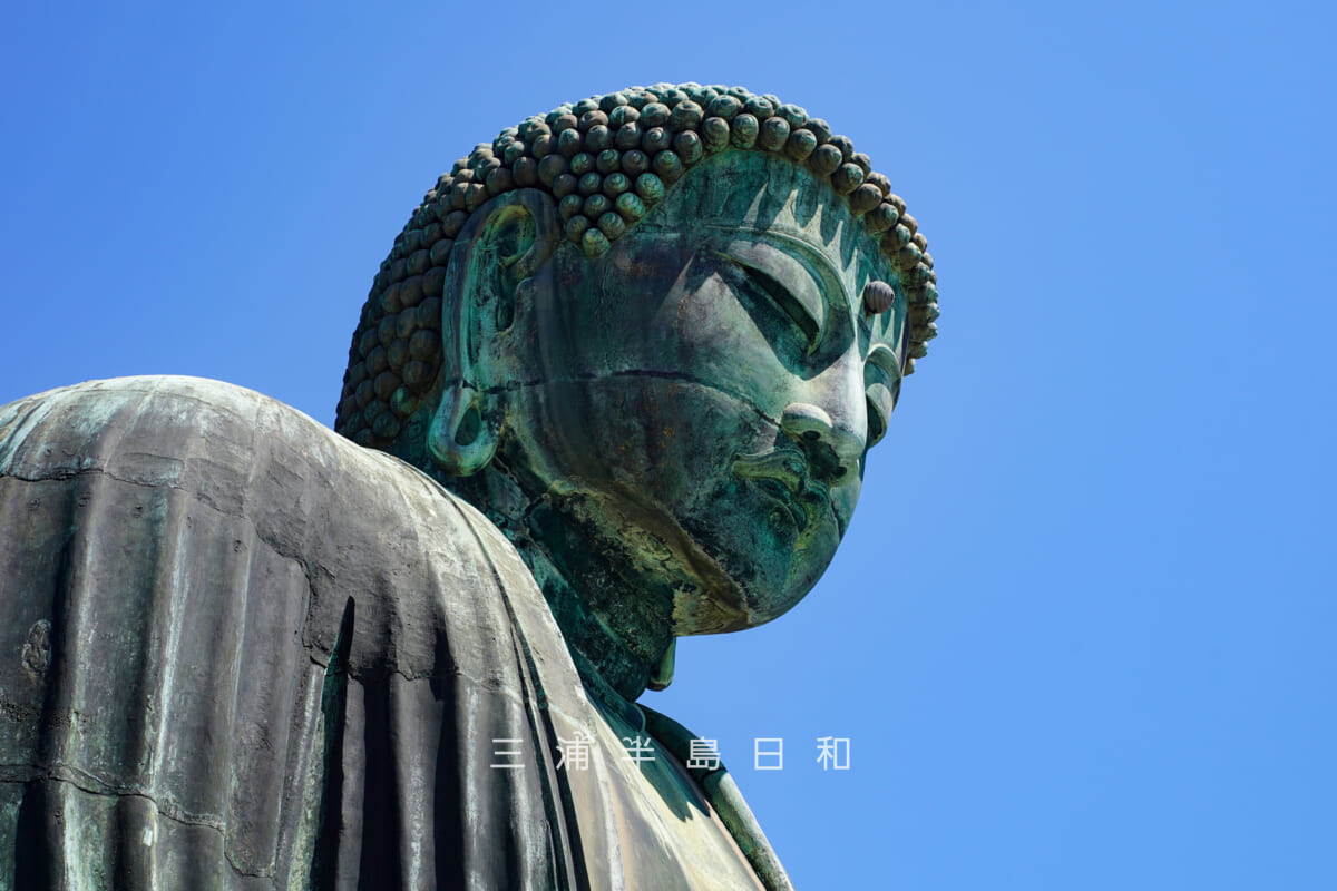鎌倉大仏殿高徳院・大仏様の横顔（撮影日：2026.04.03）
