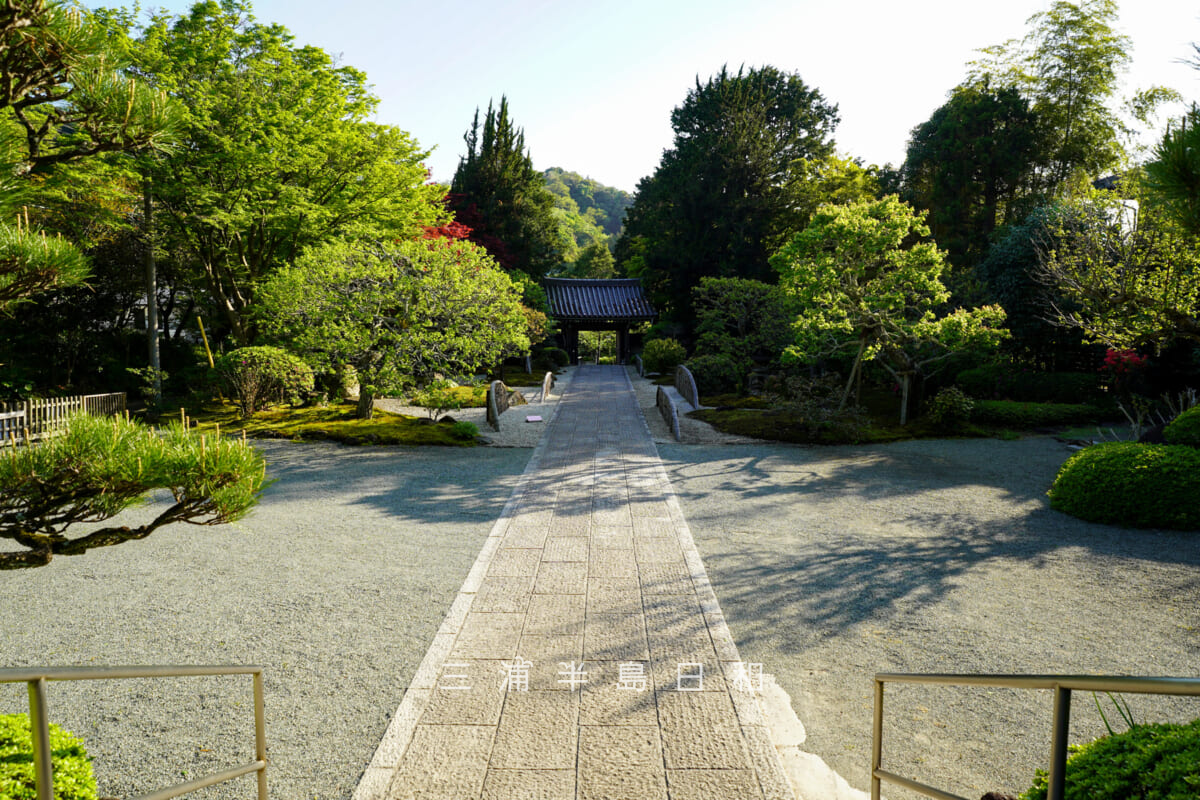 浄妙寺・本堂前より晩春の境内を望む（撮影日：2026.04.16）