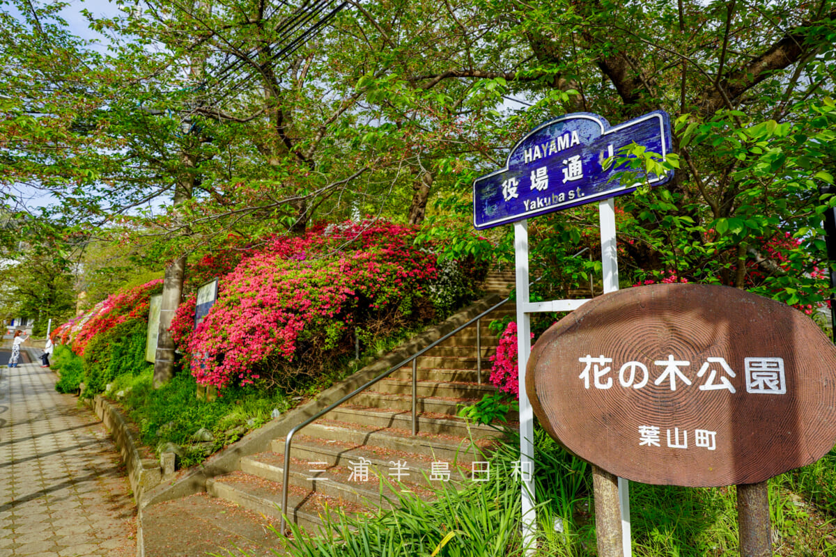 花の木公園・役場通り側の入口(撮影日:2026.04.14)