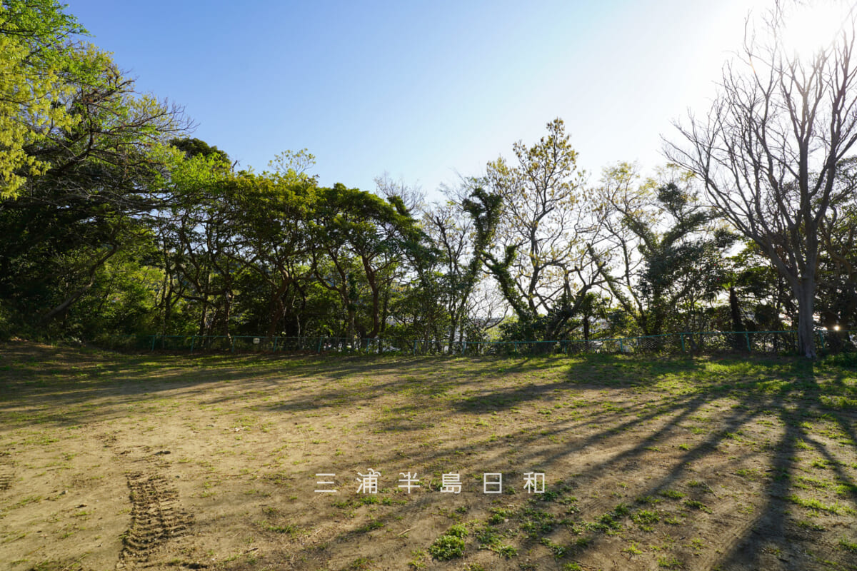 木の下公園の広場(撮影日:2026.04.08)