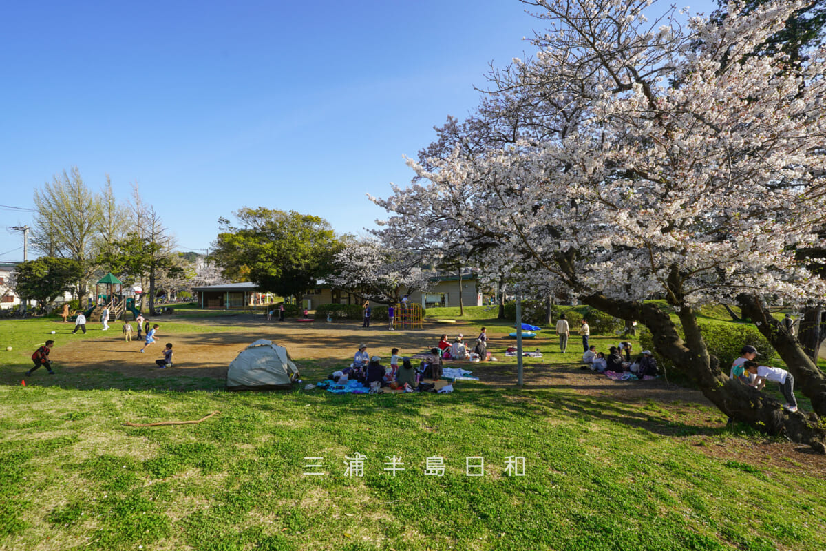 第一運動公園・春のこどもひろば（撮影日：2026.04.03）