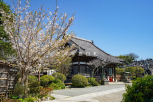 聖徳寺