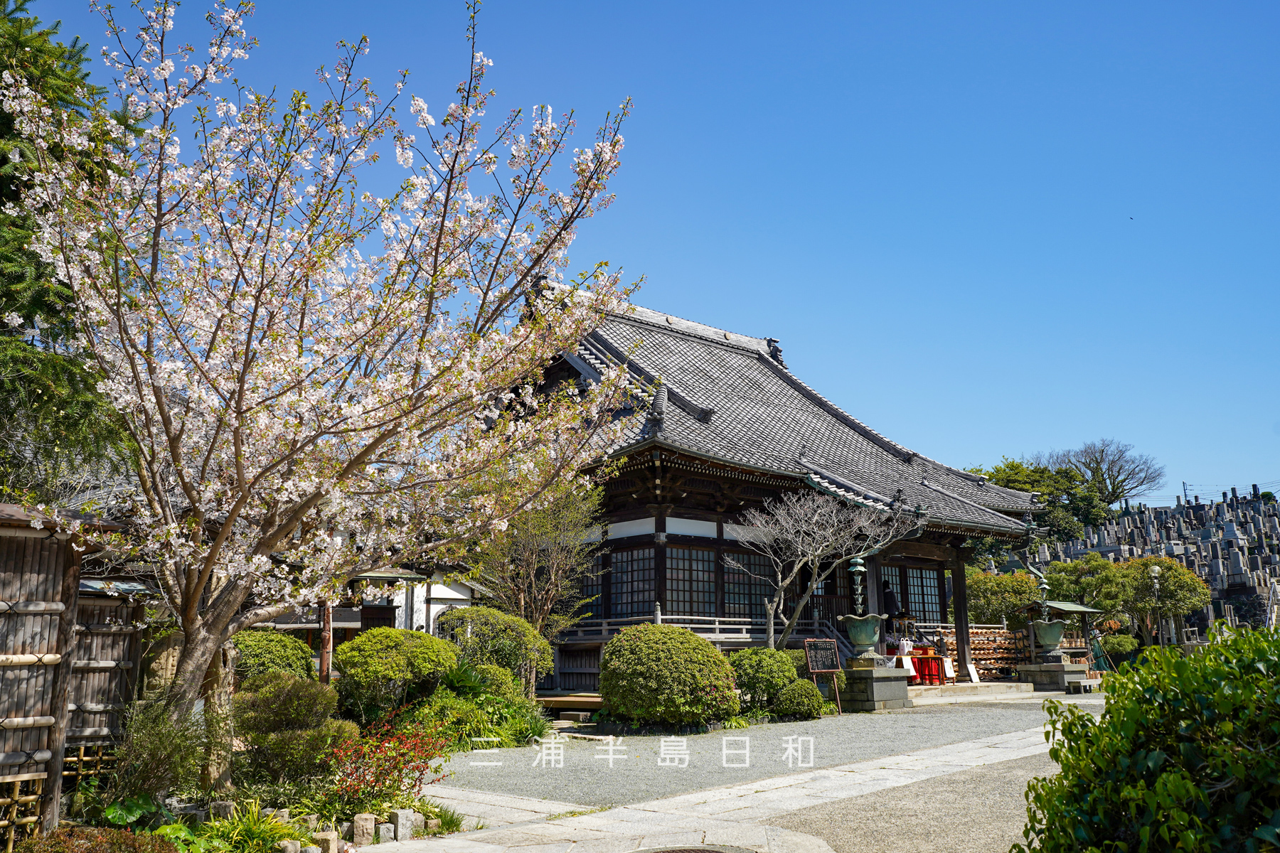 聖徳寺（撮影日：2026.04.08）