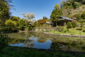 建長寺-回春院・春の大覚池（撮影日：2026.04.03）