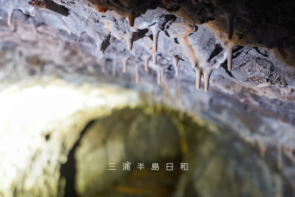 陸上自衛隊久里浜駐屯地-旧海軍通信学校地下壕・鍾乳石が垂れ下がる地下壕内部[アップ]（撮影日：2026.04.02）