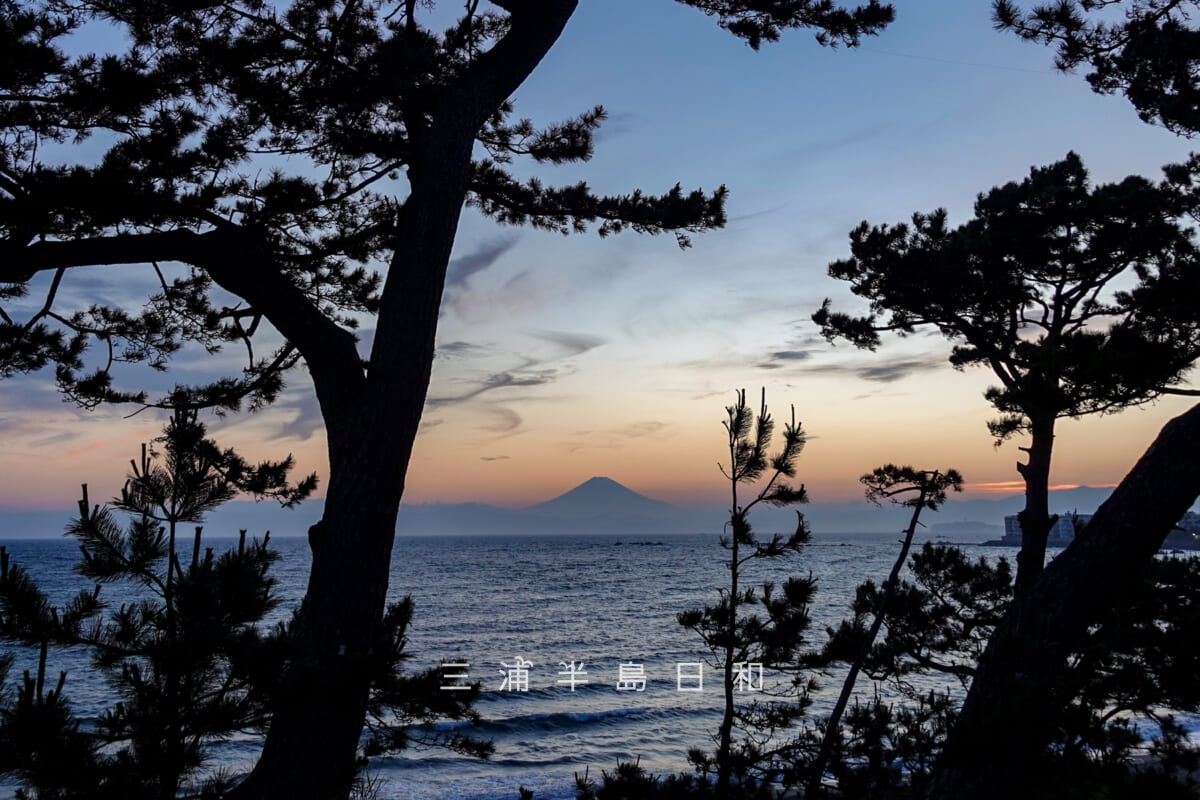 一色公園より一色海岸越しに富士山を望む(撮影日:2026.05.19)