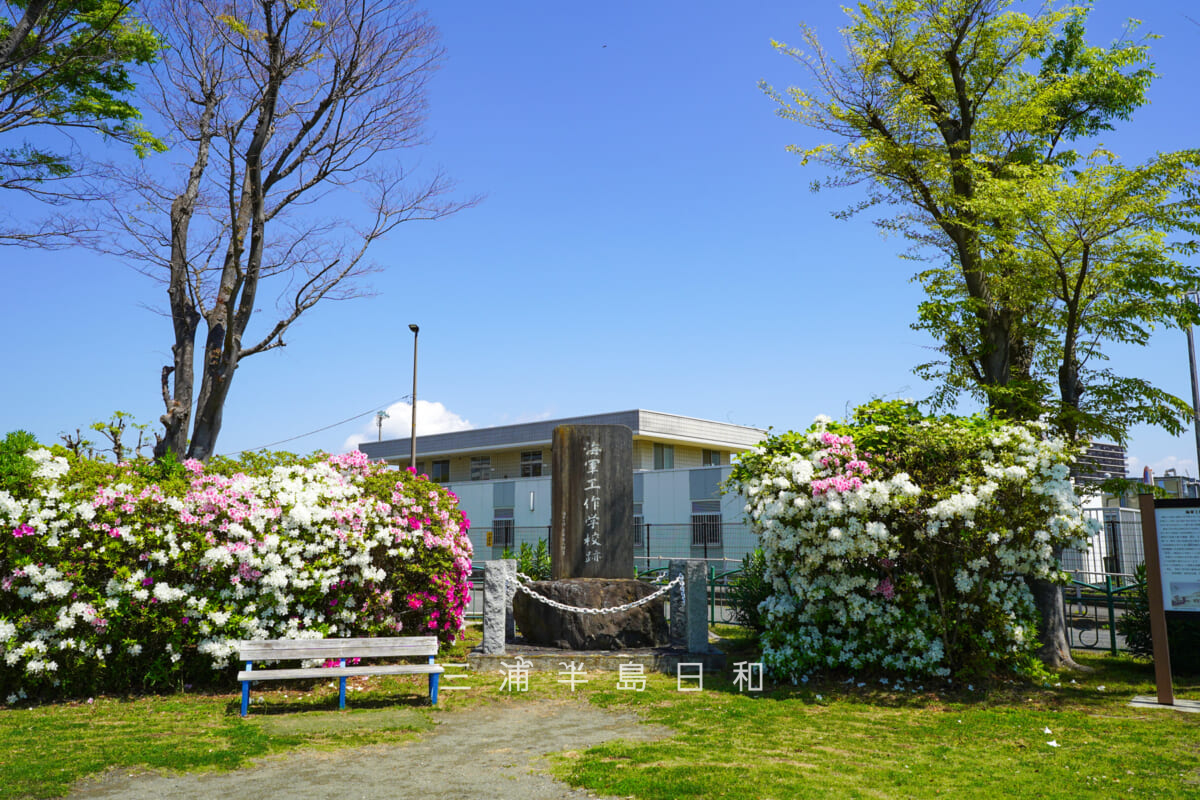 久里浜公園・「海軍工作学校跡」碑とツツジ(撮影日:2026.04.16)