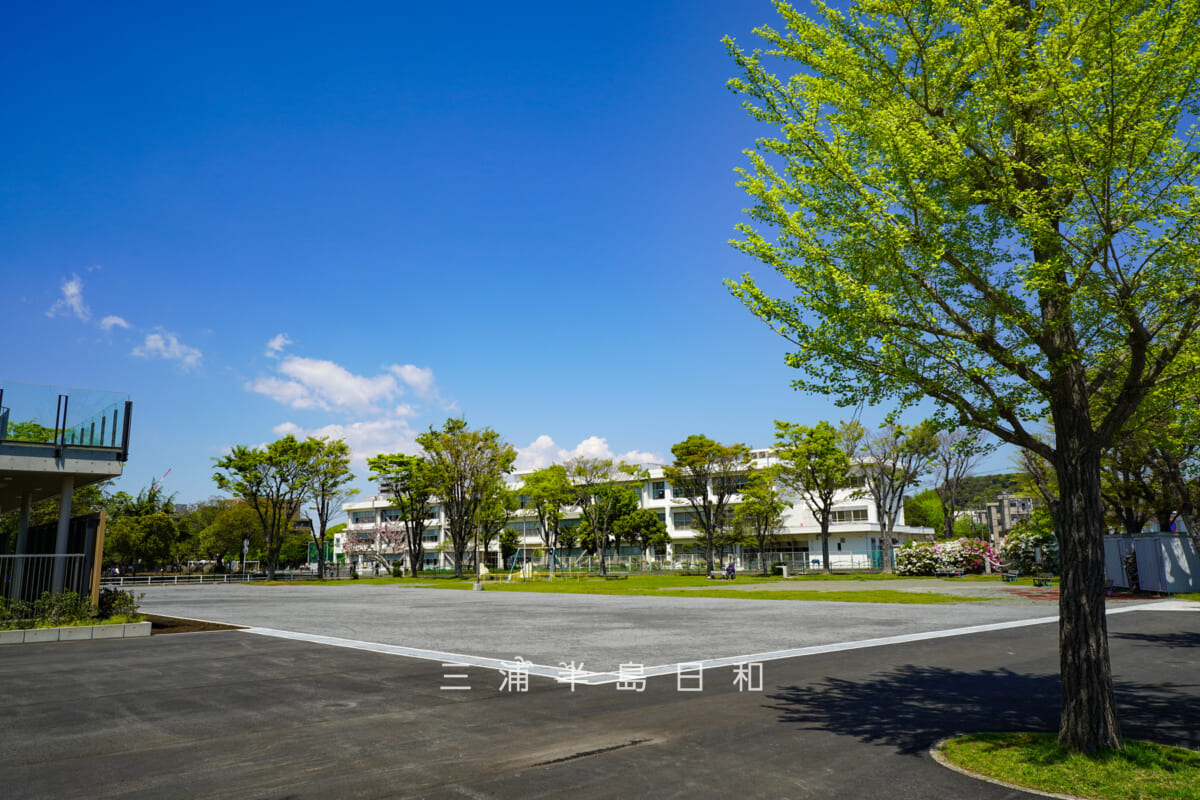 久里浜公園・明浜小学校方面を望む(撮影日:2026.04.16)