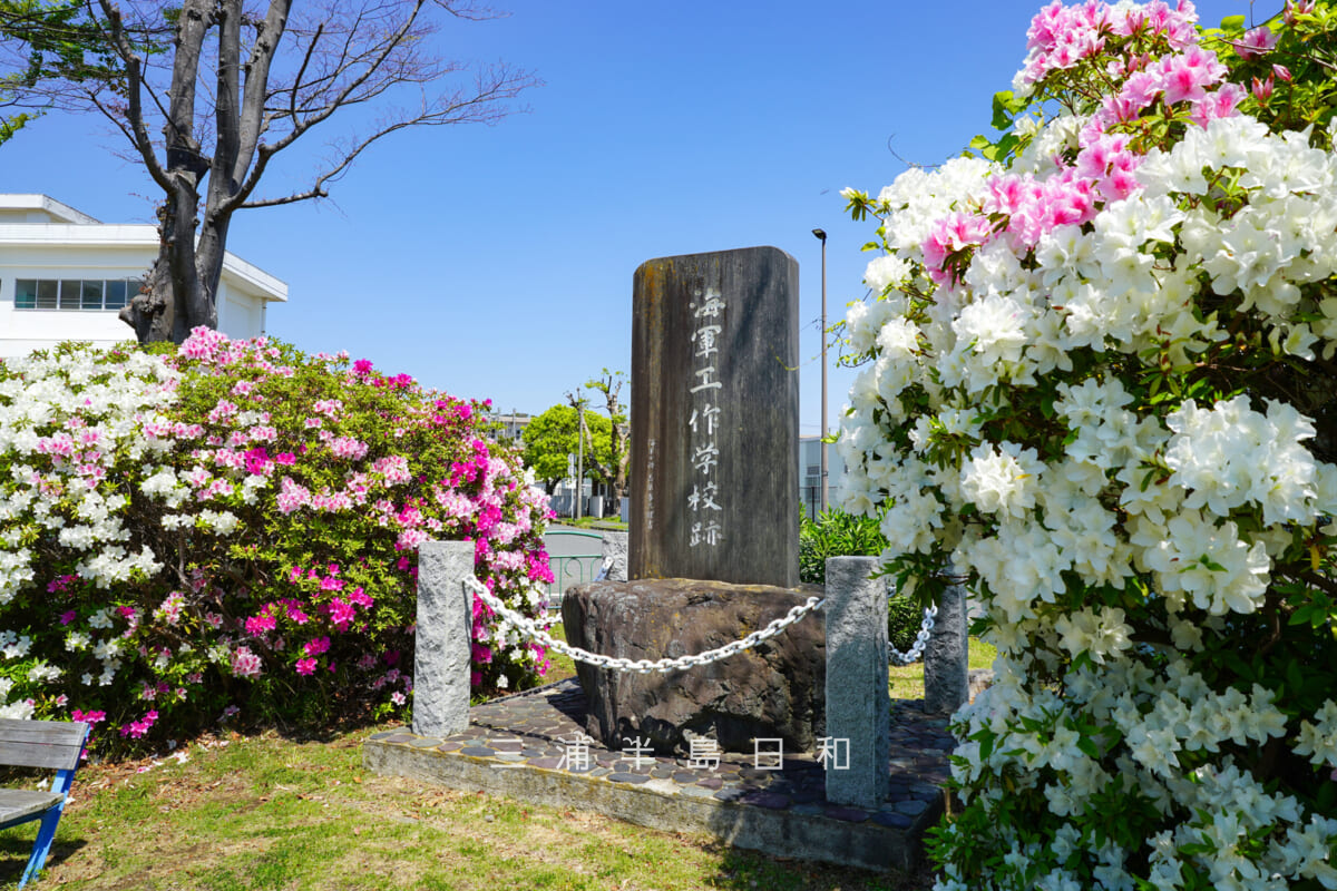 久里浜公園・「海軍工作学校跡」碑とツツジ[アップ]（撮影日：2026.04.16）