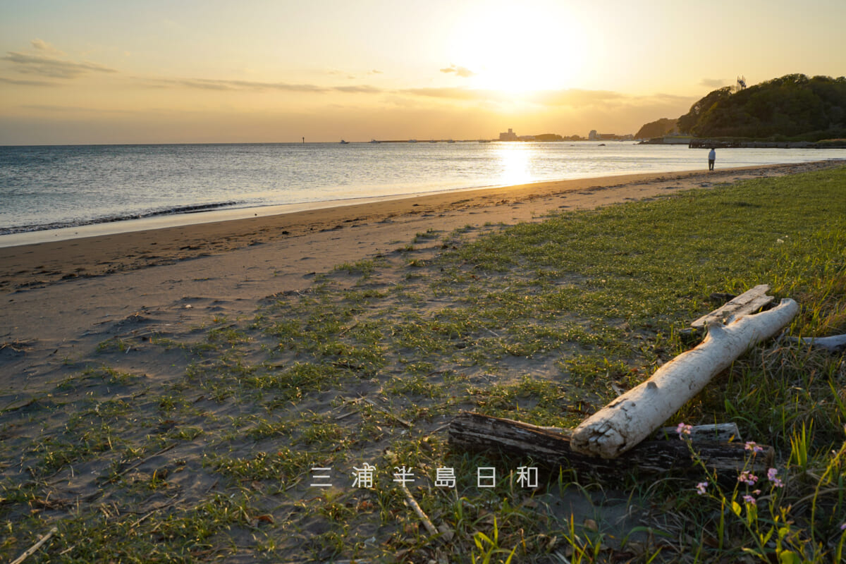 斉田浜海岸・夕暮れの砂浜（撮影日：2026.04.16）