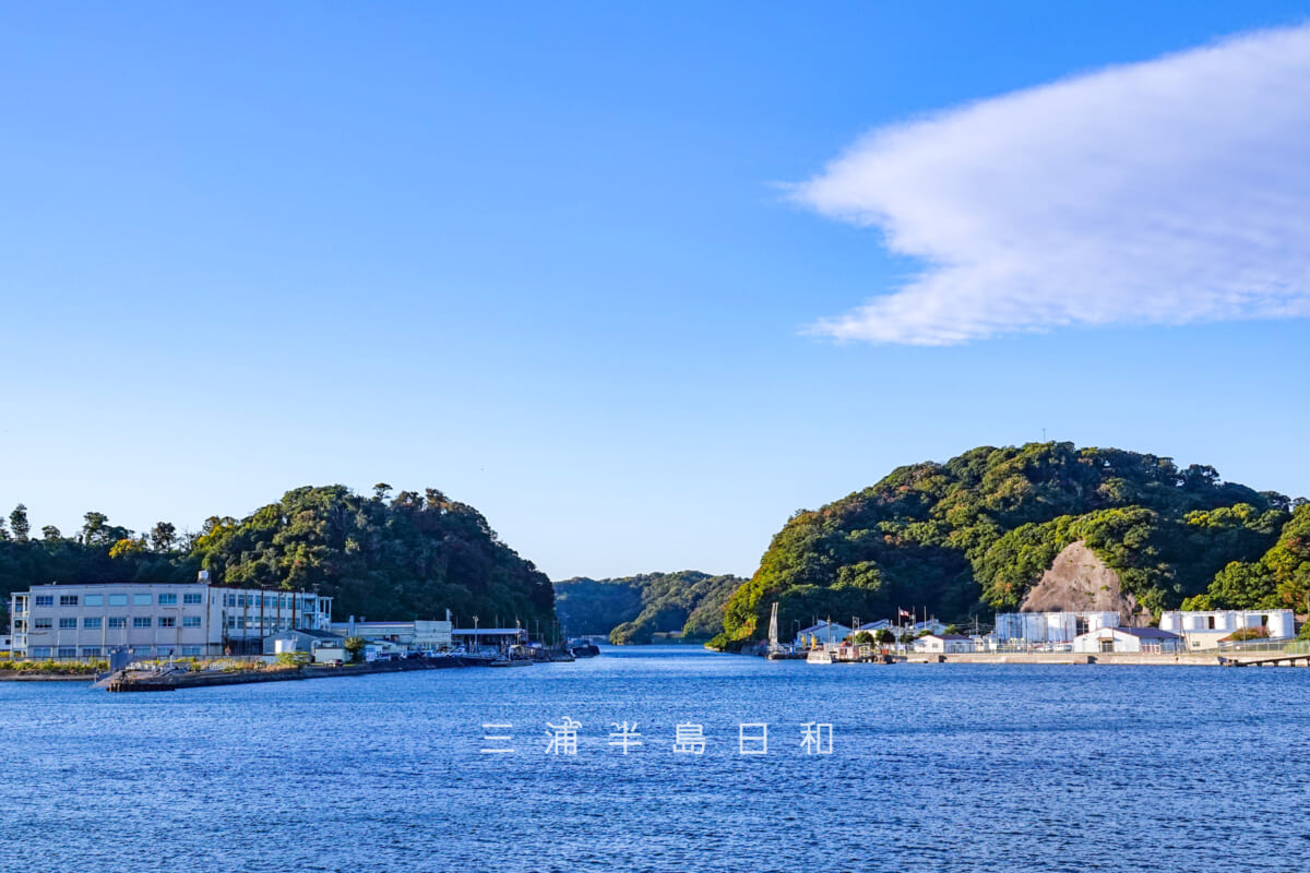 新井掘割水路・横須賀本港側より望む（撮影日：2022.11.03）