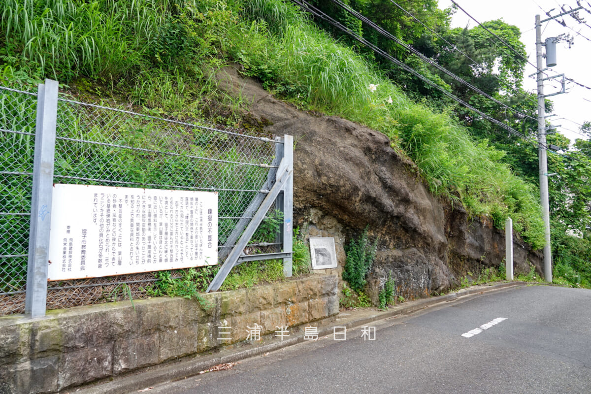 鐙摺の不整合を示す露頭（神奈川県指定天然記念物）と逗子市教育委員会による案内板（撮影日：2025.06.08）