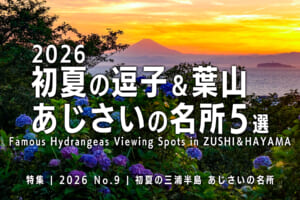2026初夏の逗子＆葉山 あじさいの名所5選