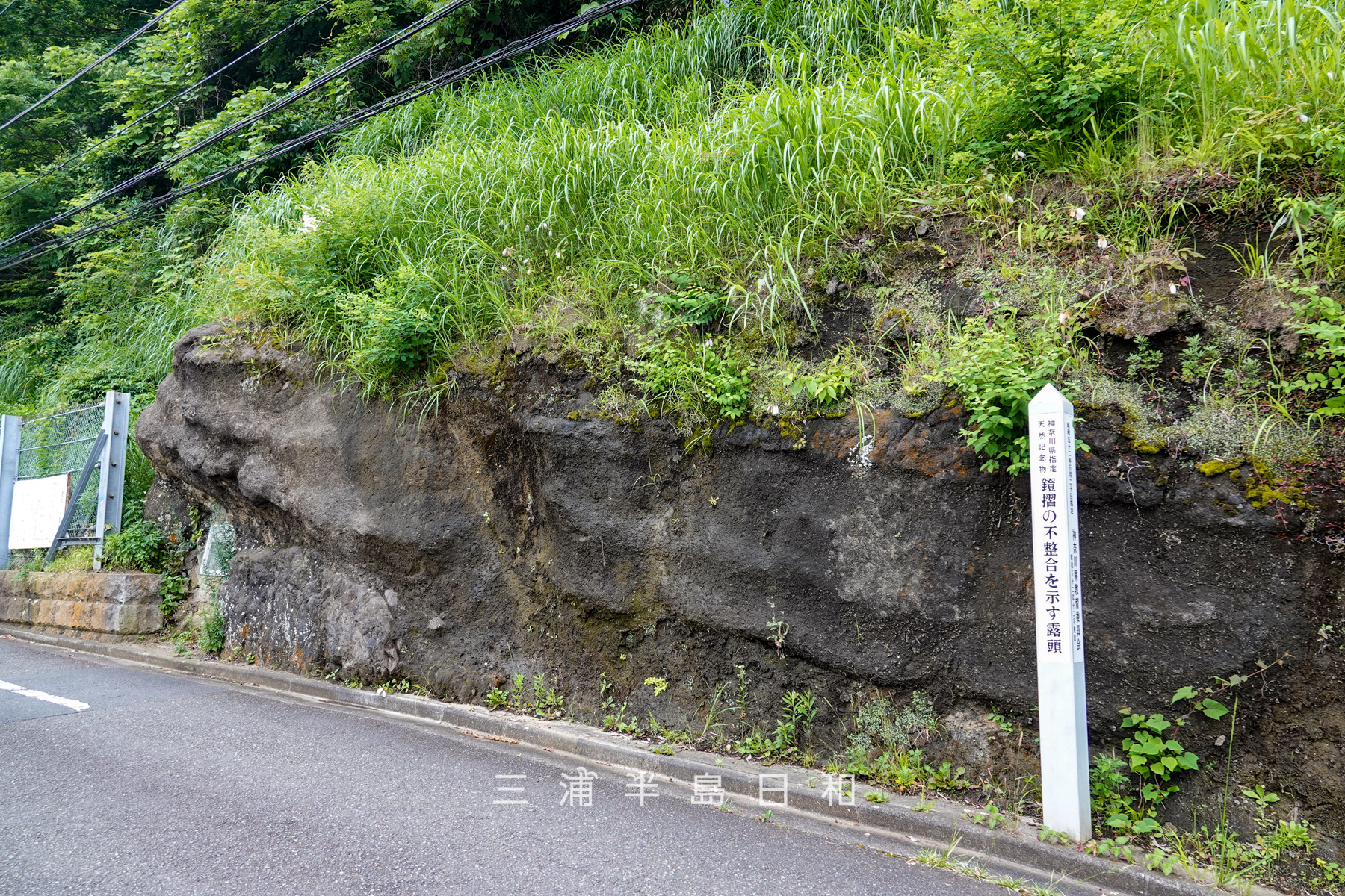 鐙摺の不整合を示す露頭（神奈川県指定天然記念物）（撮影日：2025.06.08）