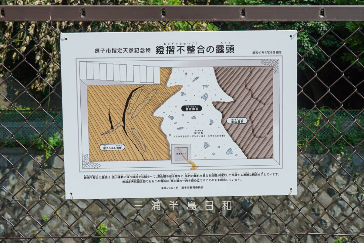 逗子市浄水管理センター内の鐙摺不整合の露頭（逗子市指定天然記念物）の逗子市教育委員会による案内板（撮影日：2025.07.04）