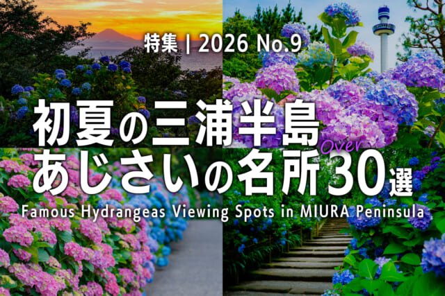 【2026 No.9】特集 | 三浦半島あじさいの名所