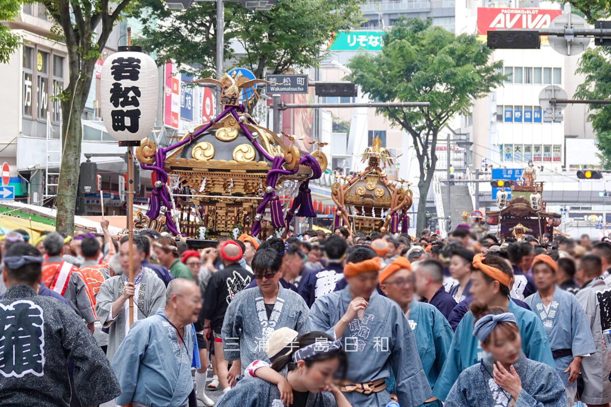 諏訪神社例大祭（横須賀下町連合祭礼）・下町五町連合神輿渡御（撮影日：2026.05.24）