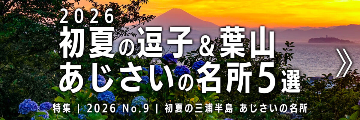 【2026 No.9】特集 | 逗子葉山あじさいの名所