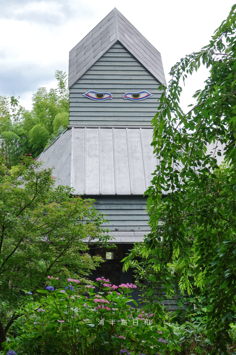 カスヤの森現代美術館・裏庭のあじさいと美術館本館側面から見つめる目玉(撮影日:2026.06.04)