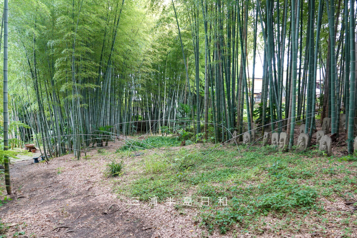 カスヤの森現代美術館・宮脇愛子《うつろひ》(撮影日:2026.06.04)