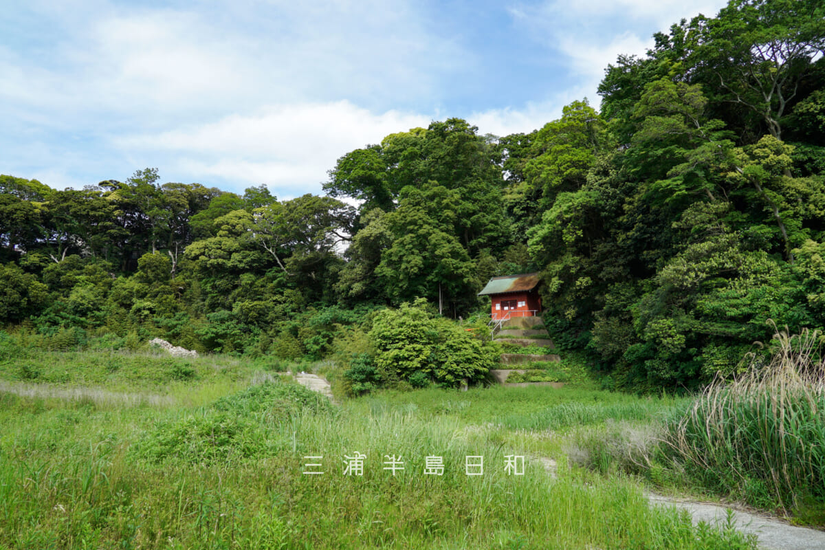 飯森神社・神社周辺(撮影日:2026.05.09)