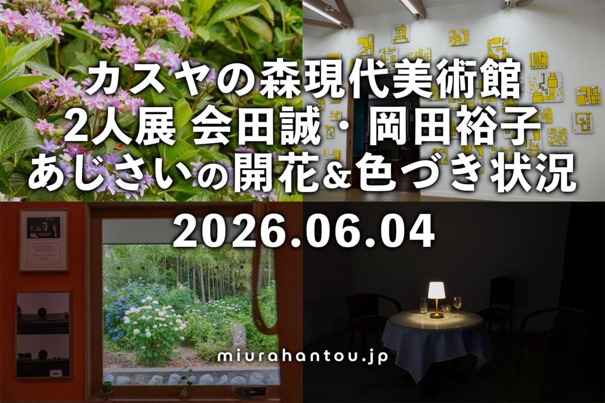 カスヤの森現代美術館のあじさい・開花＆色づき状況（撮影日：2026.06.04）