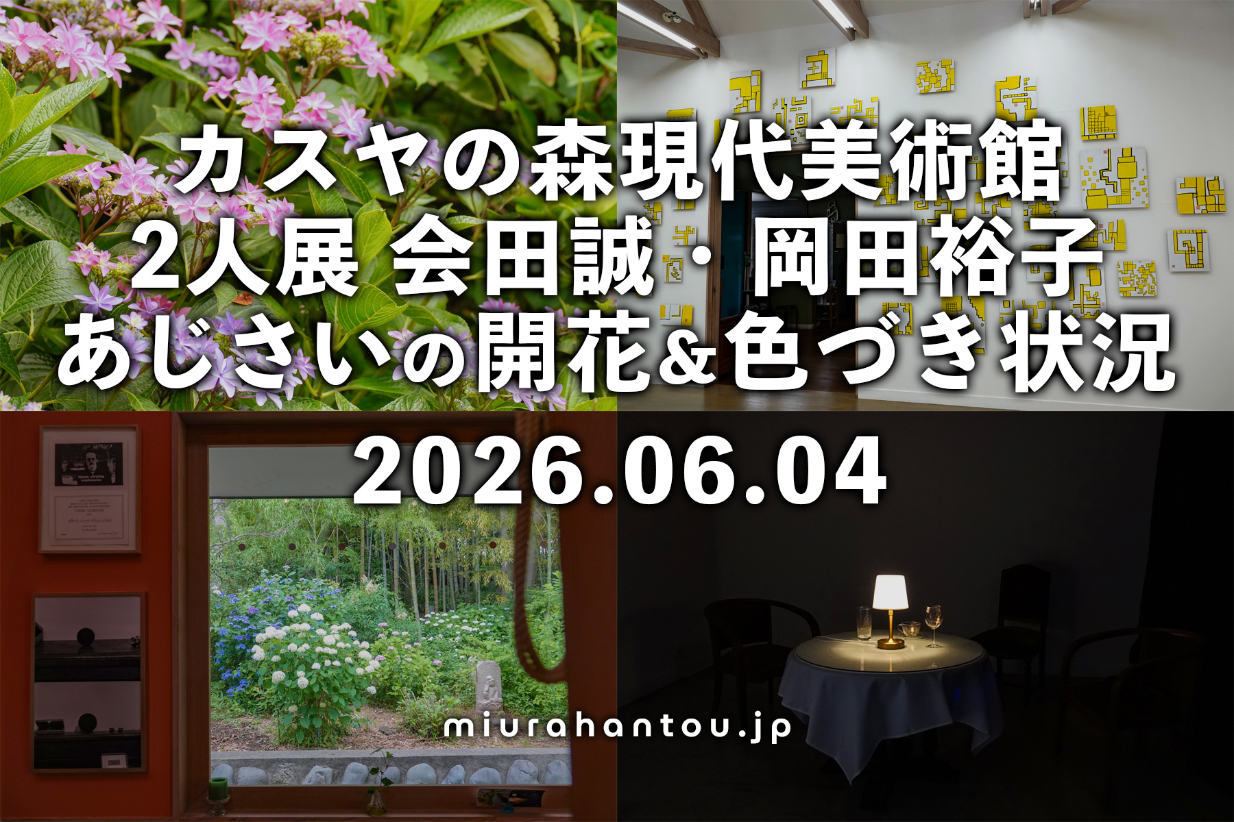 カスヤの森現代美術館のあじさい・開花＆色づき状況（撮影日：2026.06.04）