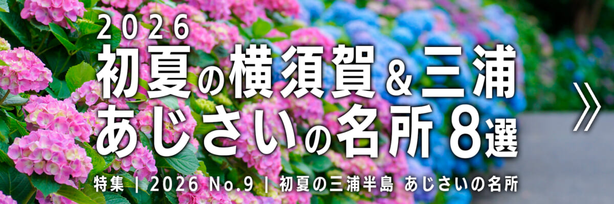 【2026 No.9】特集 | 横須賀＆三浦あじさいの名所