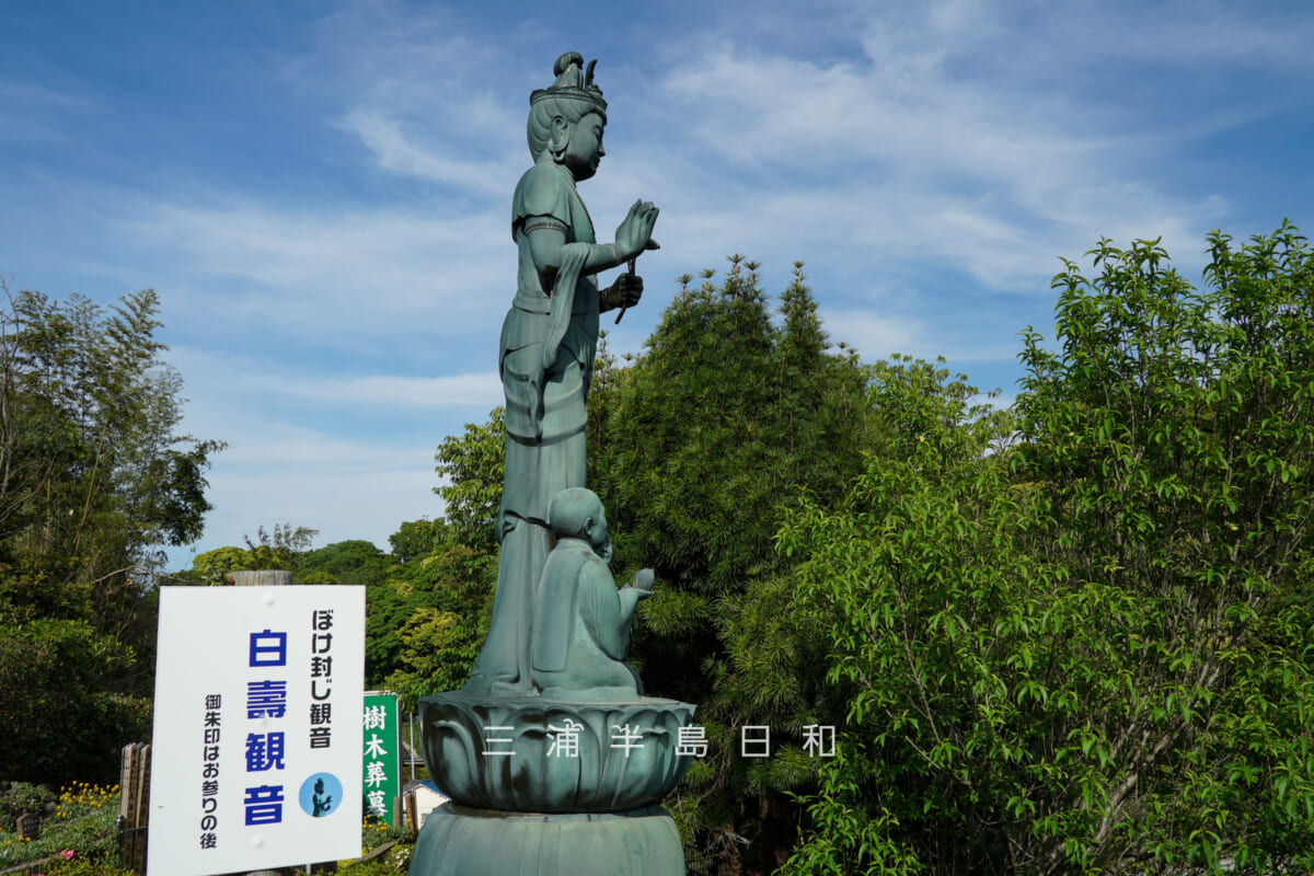 妙音寺・ぼけ封じ観音-白寿観音(撮影日:2026.05.09)