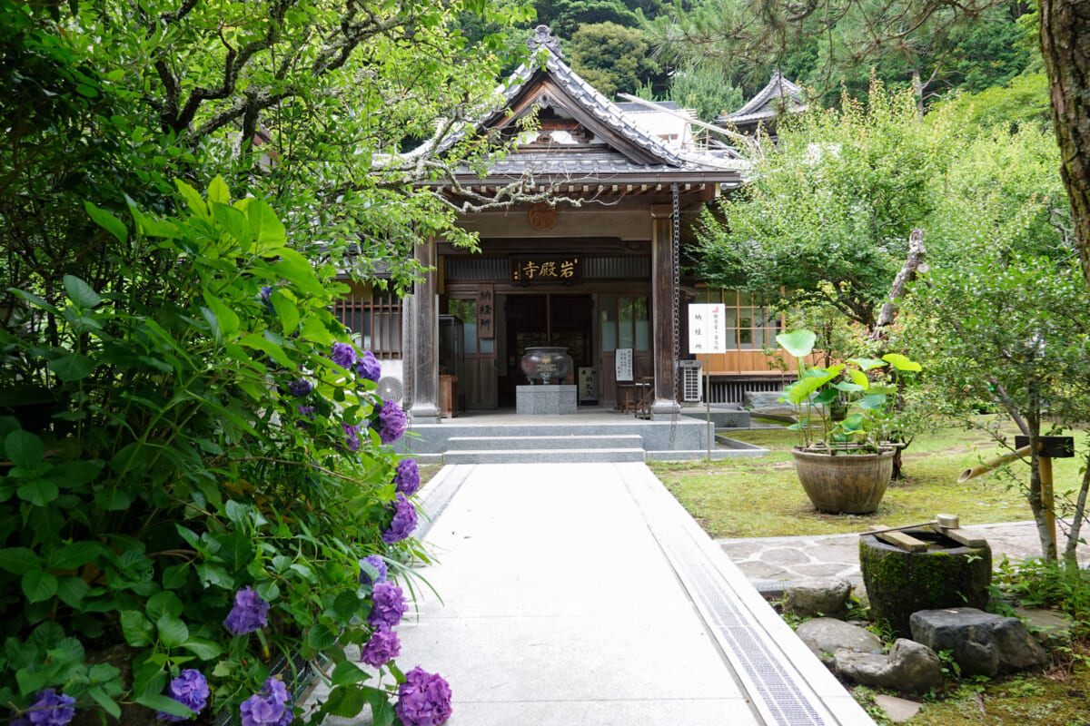 岩殿寺(岩殿観音)・納経所とあじさい(撮影日:2026.06.19)