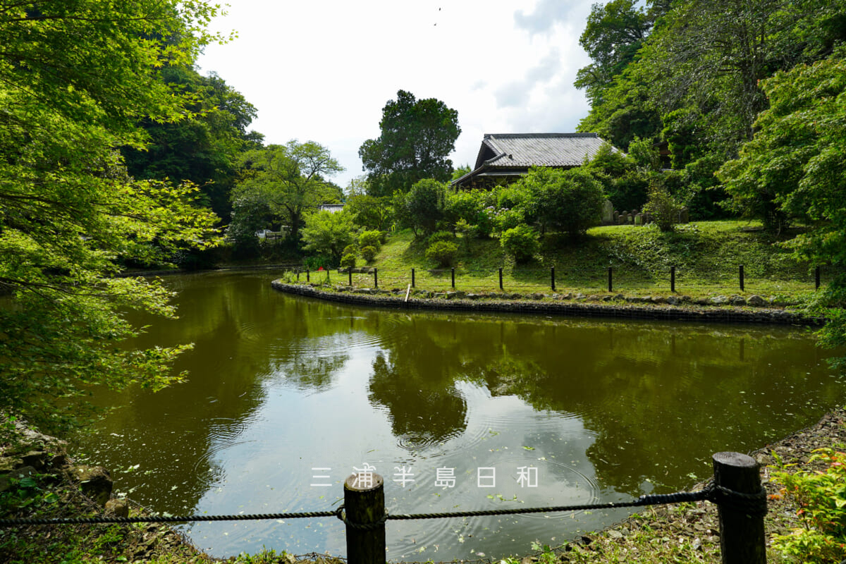 建長寺-回春院・初夏の大覚池(撮影日:2026.06.12)