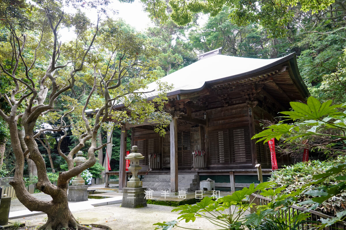 岩殿寺（岩殿観音）・観音堂を斜め正面より望む（撮影日：2026.06.19）