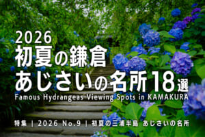 2026初夏の鎌倉 あじさいの名所18選