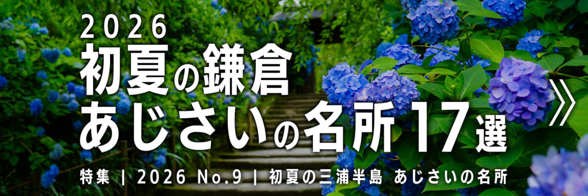 【2026 No.9】特集 | 鎌倉あじさいの名所