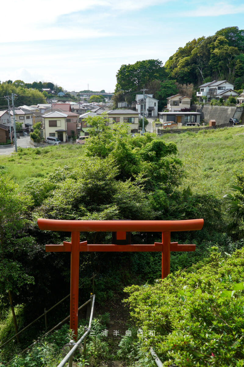 飯森神社・社殿前より三崎口駅方面を望む(撮影日:2026.05.09)