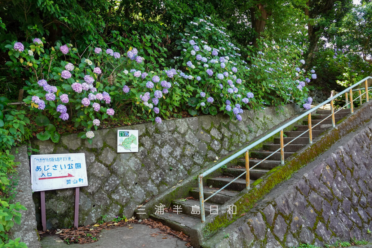 あじさい公園・公園入口（撮影日：2026.06.19）