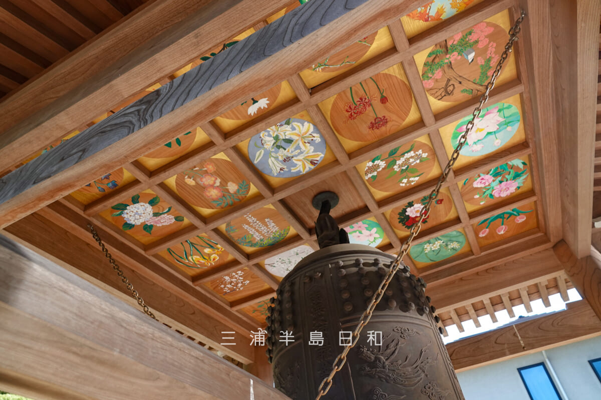 妙音寺・鐘楼堂-天井絵(撮影日:2026.06.06)