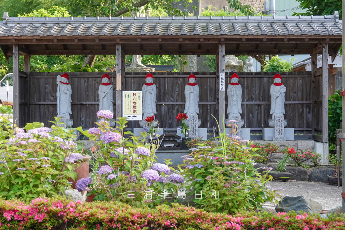 妙音寺・あじさい越しの六地蔵(撮影日:2026.06.06)