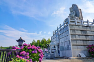 妙音寺・あじさいの季節の花山曼荼羅-大日如来（撮影日：2026.06.13）
