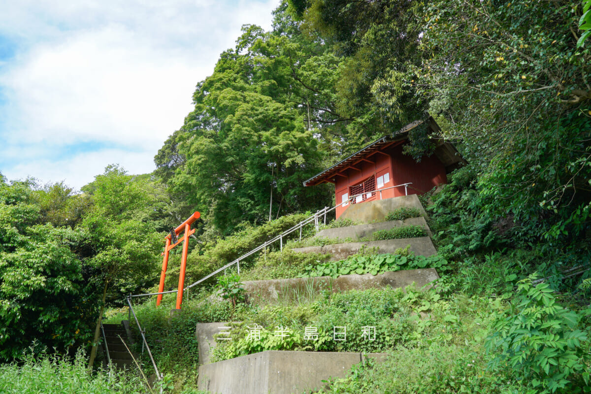 飯森神社・鳥居と社殿(撮影日:2026.05.09)