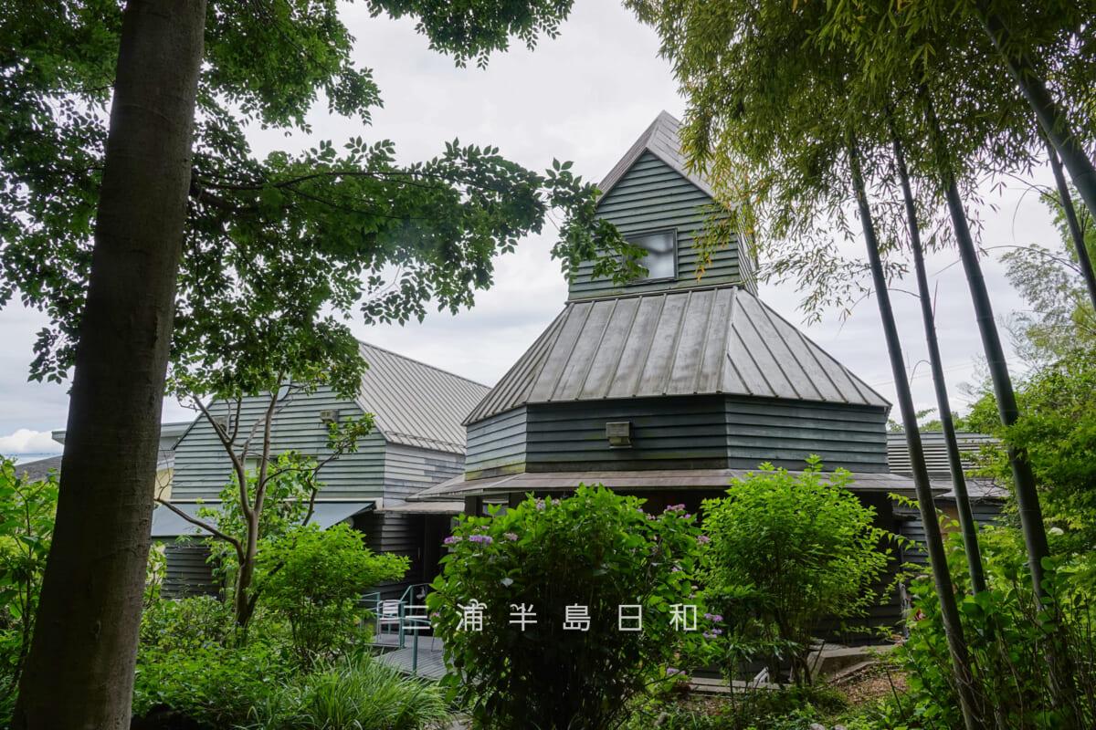 カスヤの森現代美術館・裏庭より美術館本館方面を望む(撮影日:2026.06.04)