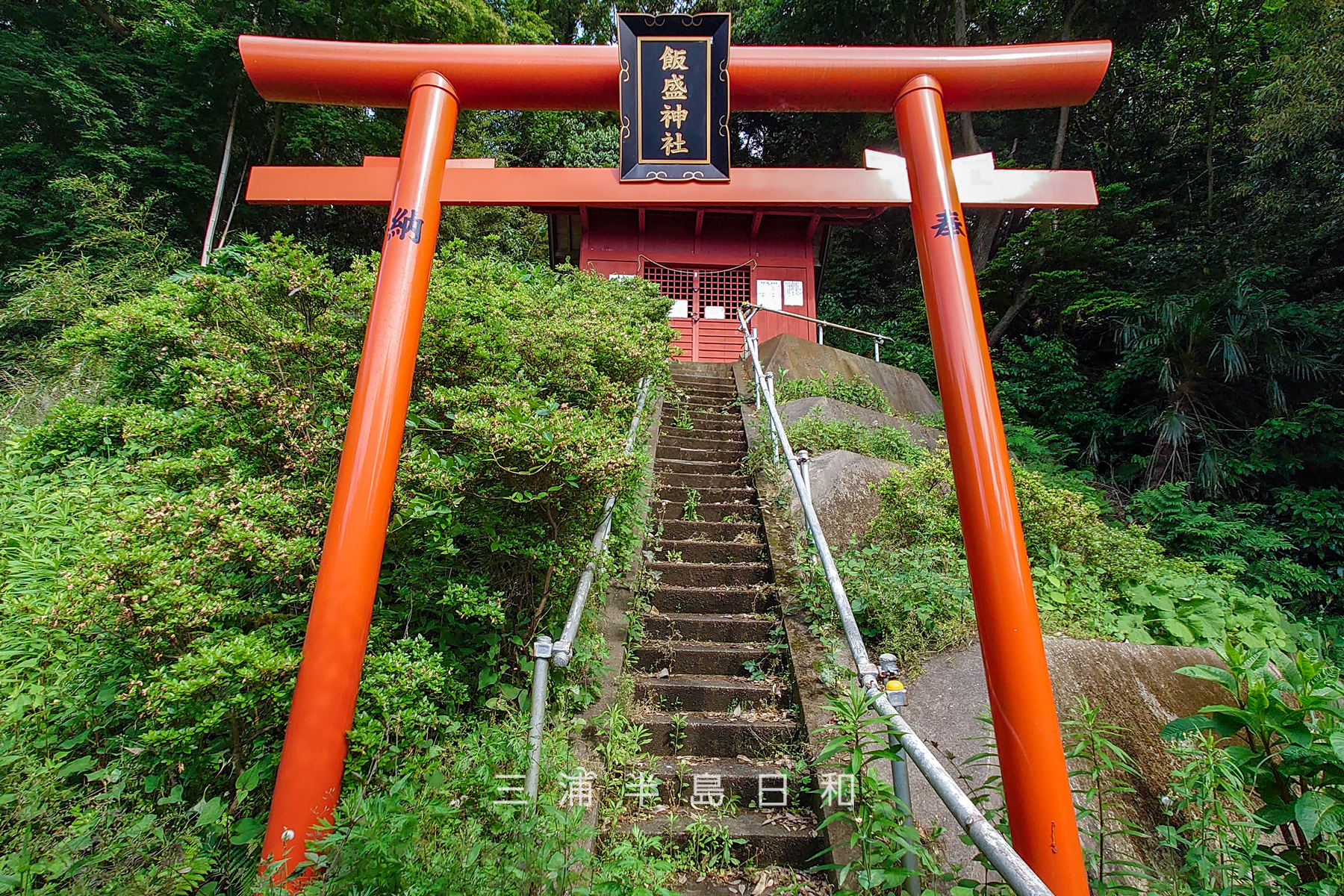 飯森神社・鳥居越しに社殿を見上げる（撮影日：2026.05.09）