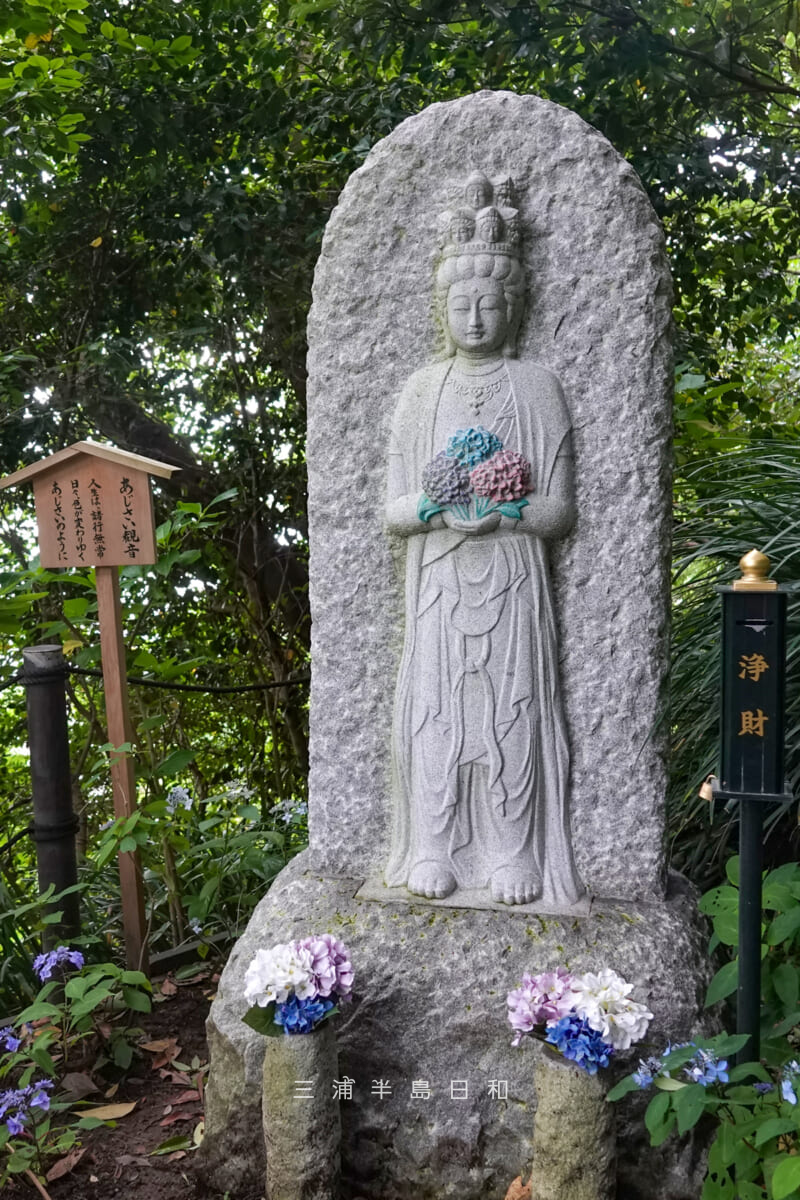 長谷寺-あじさい路・あじさい観音[タテ]（撮影日：2026.06.04）