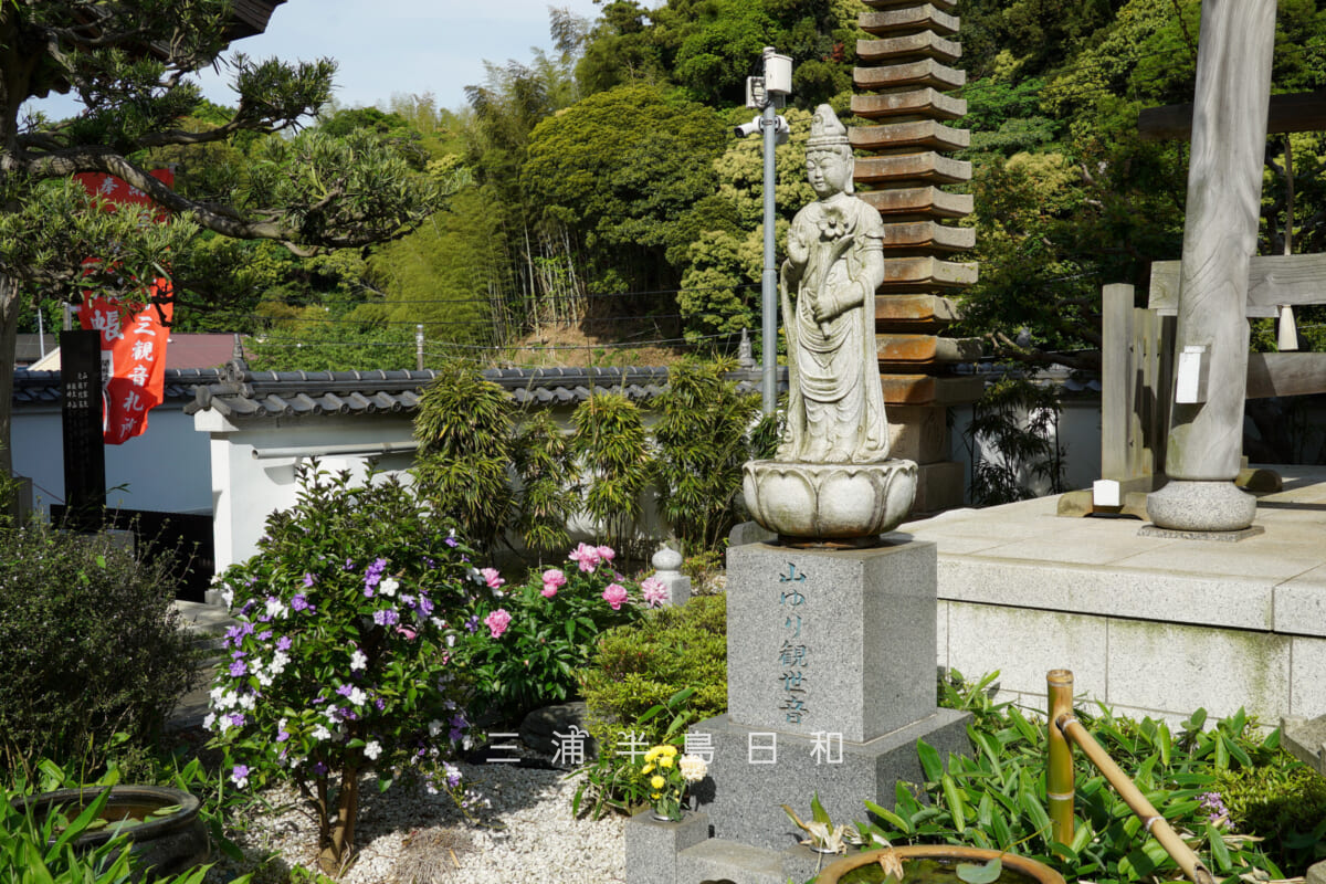 妙音寺・山ゆり観世音(撮影日:2026.05.09)